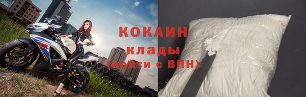 ПСИЛОЦИБИНОВЫЕ ГРИБЫ Абаза