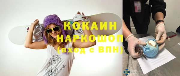 ПСИЛОЦИБИНОВЫЕ ГРИБЫ Абаза