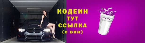 ПСИЛОЦИБИНОВЫЕ ГРИБЫ Абаза