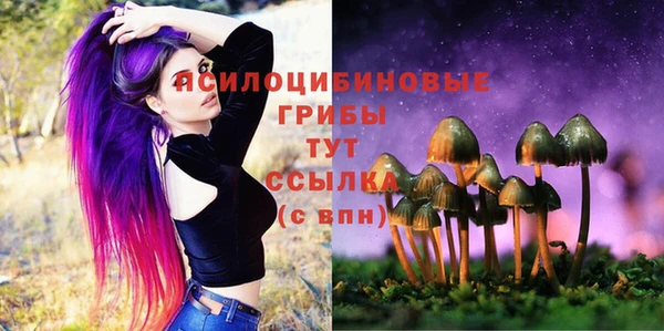 амф Абинск