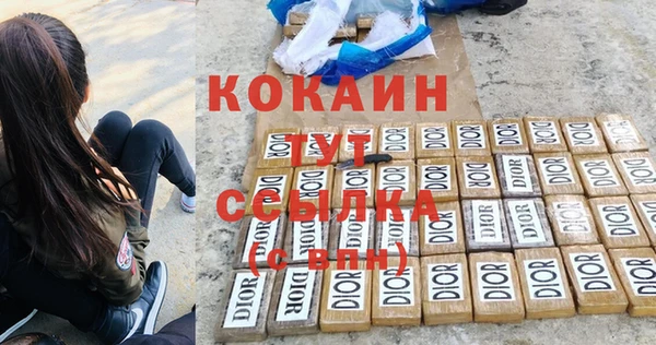 ПСИЛОЦИБИНОВЫЕ ГРИБЫ Абаза